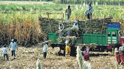 As the name suggests, the PM-KISAN is for families involved in farming. (HT file photo) As the name suggests, the PM-KISAN is for families involved in farming. (HT file photo)