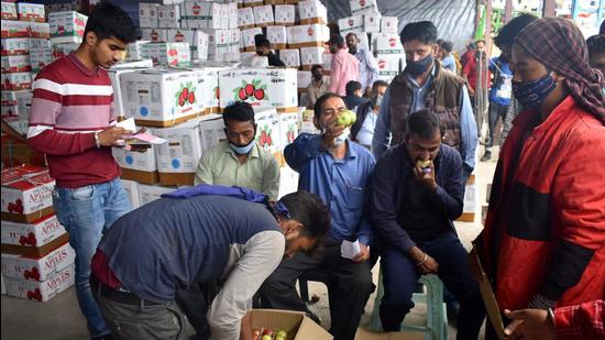 Orchardists say, of late, the price of packaging material has increased by 25%. Now, growers have to shell out <span class='webrupee'>₹</span>67 for the premium carton, which used to cost <span class='webrupee'>₹</span>53. (Deepak Sansta / HT) Orchardists say, of late, the price of packaging material has increased by 25%. Now, growers have to shell out <span class='webrupee'>₹</span>67 for the premium carton, which used to cost <span class='webrupee'>₹</span>53. (Deepak Sansta / HT)