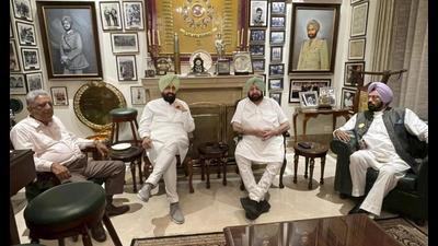 Punjab Speaker Rana KP Singh, Rajya Sabha MP and former PPCC president Pratap Singh Bajwa and cabinet minister Rana Gurmeet Sodhi with chief minister Capt Amarinder Singh at his Siswan farmhouse in Mohali on Saturday. PTI Punjab Speaker Rana KP Singh, Rajya Sabha MP and former PPCC president Pratap Singh Bajwa and cabinet minister Rana Gurmeet Sodhi with chief minister Capt Amarinder Singh at his Siswan farmhouse in Mohali on Saturday. PTI