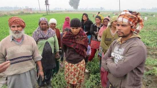 Green Revolution has ensured India’s self-sufficiency for our cereal needs and has touched most Indian farmers, its long-term impacts are now visibly evident.(Swagata Yadavar/Indiaspend)