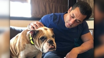 Salman Khan: If you are a die-hard fan of Salman then you must be knowing that the actor's most loved dish is biryani. His go-to place for a biryani fix is Cafe Noorani, which is located opposite the Haji Ali Durgah in Mumbai. (Instagram/@beingsalmankhan) Salman Khan: If you are a die-hard fan of Salman then you must be knowing that the actor's most loved dish is biryani. His go-to place for a biryani fix is Cafe Noorani, which is located opposite the Haji Ali Durgah in Mumbai. (Instagram/@beingsalmankhan)