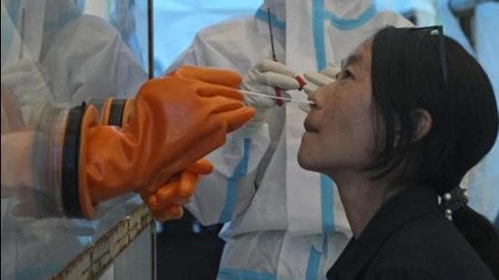 Nagaland government staff will have to produce a Covid-19 negative certificate every 15 days if they do not get vaccinated fully. (AP Photo/Representative Photo)