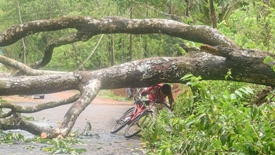 Authorities have issued a "red alert" for the next two days starting Monday. (File Photo)