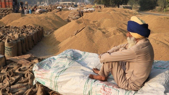 Farmer seen at the grain market in Multaniya village, Bathinda, Punjab(Sanjeev Kumar/Hindustan Times) Farmer seen at the grain market in Multaniya village, Bathinda, Punjab(Sanjeev Kumar/Hindustan Times)