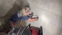 Gertie, the dog missing for five days, being rescued. 