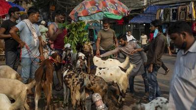 Representational image. (AP) Representational image. (AP)