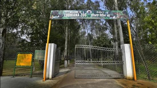 The tiger safari and zoo will remain open to the public six days a week (Monday closed). (HT File)