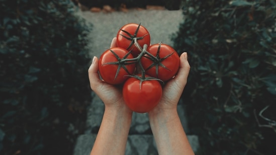 Tomato: Tomatoes can reduce airway inflammation in people with asthma as well as improve lung function in people with Chronic Obstructive Pulmonary Disease (COPD).(Unsplash)