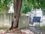 A tree in R Block, East of Kailash, on Tuesday. Filling concrete within a 1m radius of a tree is an offence.(Sanchit Khanna/HT Photo) A tree in R Block, East of Kailash, on Tuesday. Filling concrete within a 1m radius of a tree is an offence.(Sanchit Khanna/HT Photo)