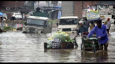 Though the state government had imposed a complete ban on plastic carry bags in April 2016, the use and trade of plastic bags goes unabated in absence of proper checks. (HT File)