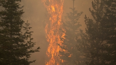 The Bootleg Fire burns through vegetation near Paisley, Oregon on July 20. The Oregon fire has ravaged the southern part of the state and has been expanding by up to 4 miles (6 kilometres) a day, pushed by gusting winds and critically dry weather that's turned trees and undergrowth into a tinderbox. (David Ryder / REUTERS) The Bootleg Fire burns through vegetation near Paisley, Oregon on July 20. The Oregon fire has ravaged the southern part of the state and has been expanding by up to 4 miles (6 kilometres) a day, pushed by gusting winds and critically dry weather that's turned trees and undergrowth into a tinderbox. (David Ryder / REUTERS)
