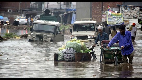 Though the state government had imposed a complete ban on plastic carry bags in April 2016, the use and trade of plastic bags goes unabated in absence of proper checks. (HT File)
