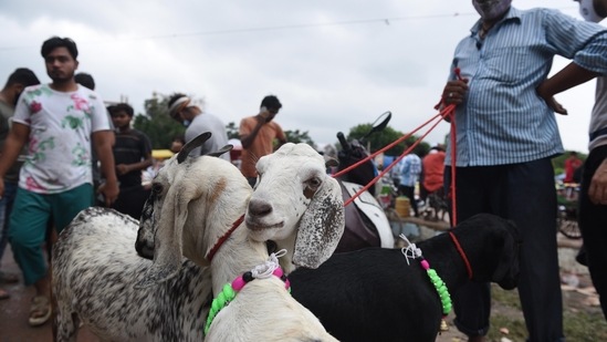 Goats were being sold in a market at Jama Masjid ahead of Eid al-Adha.(Arvind Yadav/HT PHOTO)