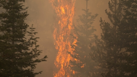The Bootleg Fire burns through vegetation near Paisley, Oregon on July 20. The Oregon fire has ravaged the southern part of the state and has been expanding by up to 4 miles (6 kilometres) a day, pushed by gusting winds and critically dry weather that's turned trees and undergrowth into a tinderbox.(David Ryder / REUTERS)