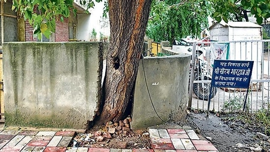 A tree in R Block, East of Kailash, on Tuesday. Filling concrete within a 1m radius of a tree is an offence.(Sanchit Khanna/HT Photo)