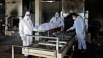 Volunteers from a trust prepare to cremate the body of a person who died from the coronavirus disease (Covid-19), at a crematorium in Gujarat. (File Photo / REUTERS) Volunteers from a trust prepare to cremate the body of a person who died from the coronavirus disease (Covid-19), at a crematorium in Gujarat. (File Photo / REUTERS)
