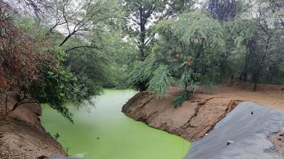 Officials said that 1,146MLD of water is equivalent to a four to five-day water supply for the entire city. Officials said that 1,146MLD of water is equivalent to a four to five-day water supply for the entire city.