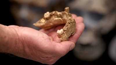 The archaeologists dug 17 trenches at Korkai from where they found cast iron material, glass beads, and signs of industrial activities. (AFP / Representational photo)