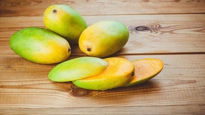 Dussehri: Malihabad in Lucknow district of Uttar Pradesh is the largest producer of Dussehri mango. Its skin is semi thick, smooth, waxy and leathery. It ranges from light green to yellow-green, turning into a golden yellow hue when ripe. Originating in the 18th century, this mango is said to have first appeared in the gardens of the Nawab of Lucknow. The plant bears fruit every alternate year. Dussehri: Malihabad in Lucknow district of Uttar Pradesh is the largest producer of Dussehri mango. Its skin is semi thick, smooth, waxy and leathery. It ranges from light green to yellow-green, turning into a golden yellow hue when ripe. Originating in the 18th century, this mango is said to have first appeared in the gardens of the Nawab of Lucknow. The plant bears fruit every alternate year.