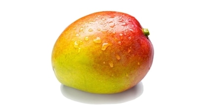 Gulab Khas: Comparatively smaller in size, this blushing mango in a rosy flavour, with hues of red, is one of the most delectable mangoes from Bihar. Its non-fibrous pulp makes it perfect for desserts. Sold in the months of May and June, Gulab Khas is rich in minerals such as iron, folate and magnesium. It’s also popular in West Bengal and Jharkhand. Gulab Khas: Comparatively smaller in size, this blushing mango in a rosy flavour, with hues of red, is one of the most delectable mangoes from Bihar. Its non-fibrous pulp makes it perfect for desserts. Sold in the months of May and June, Gulab Khas is rich in minerals such as iron, folate and magnesium. It’s also popular in West Bengal and Jharkhand.