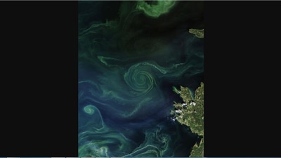 The pic by Nasa shows Phytoplankton bloom in the Baltic Sea. (Instagram/@nasa)