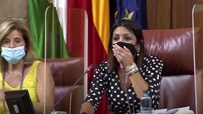 Panic spread during the session as a rat entered Andalusian Parliament in Spain on Wednesday.