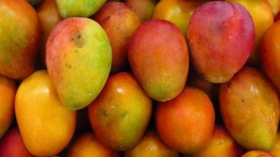 Suvarnarekha: Also known as Chinna Suvarnarekha, it originates from Visakhapatnam, Andhra Pradesh. Medium-sized, ovate-oblong, light cadmium in colour, with a blush of jasper red and medium dots, this juicy fruit is soft and fibreless with yellow flesh and pleasant sweet flavour. The variety has spread to adjoining districts of Visakhapatnam. It ripens early in the season (April to May). Exported throughout India, this beauty is known as Sundari in North India and Lalsundri in Odisha.