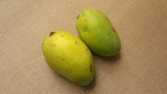 Chausa: Chausa comes in monsoon when other varieties are out of stock. It hails from the hinterlands of India (Multan, present-day Pakistan). In 1539, Sher Shah Suri defeated Humayun in the Battle of Chausa, a small town in Bihar, and named this mango, making it iconic in the state. Its flesh is dark yellow or orange and it has a beak-like structure at the bottom.