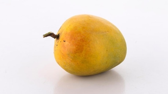 Kesar: Most preferred variety for exotic dishes, Kesar or Gir Kesar is known as the Queen of Mangoes. The small to medium fruit was grown in 1931 by Junagadh Wazir Sale Bhai in Vanthali, Junagadh district of Gujarat. Among the most expensive varieties, it is smooth, fragrant and juicy with intense sweetness.