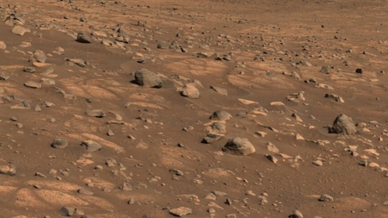 A light-colored “paver stone” like the ones seen in this mosaic will be the likely target for first sampling by the Perseverance rover.(NASA/JPL-Caltech/ASU/MSSS)