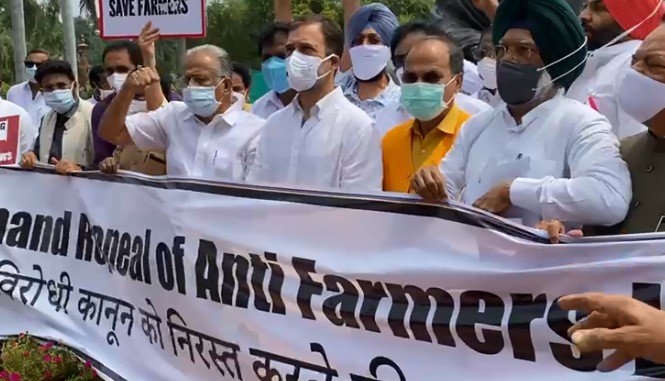 Rahul Gandhi, other Cong MPs hold protests against farm laws (Screengrab)