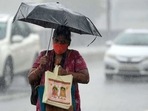 The met department has predicted sporadic rainfall over Tamil Nadu. (Representational Image) The met department has predicted sporadic rainfall over Tamil Nadu. (Representational Image)