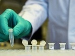 The phase I trial, however, had no women participants.(Reuters file photo. ) The phase I trial, however, had no women participants.(Reuters file photo. )
