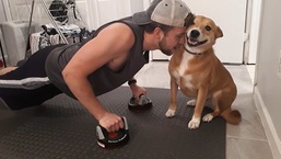 The dog named Chelsea doing everything in her power to stop her human from working out. 