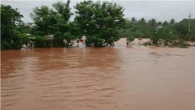 Rivers in northern Karnataka have experienced heavy flooding. (File Photo) Rivers in northern Karnataka have experienced heavy flooding. (File Photo)