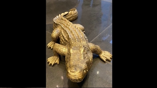 The 'realistic fake' alligator. (Twitter/@JDoucette2050)