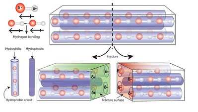 Scientists have developed piezoelectric molecular crystals that generate electricity under mechanical impact. (DST) Scientists have developed piezoelectric molecular crystals that generate electricity under mechanical impact. (DST)