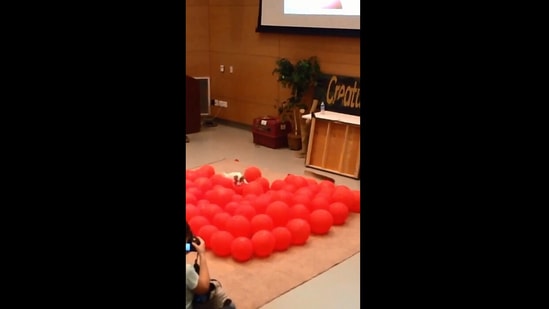 The image shows the dog named Twinkie popping balloons to create a record.(Instagram/@guinnessworldrecords)