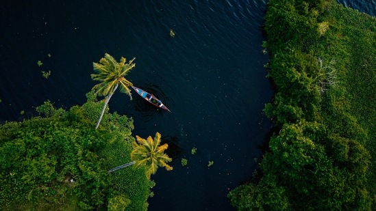 Kerala: Kerala no longer requires a negative RT-PCR test result from travellers entering the state with both doses. The government of Kerela made this decision on grounds that the Covid-19 vaccination was 'progressing well.'(Unsplash)