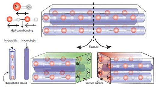 Scientists have developed piezoelectric molecular crystals that generate electricity under mechanical impact.(DST)