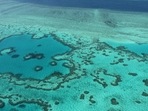 An aerial view of the Great Barrier Reef off the coast of the Whitsunday Islands, along the central coast of Queensland (AFP File Photo). An aerial view of the Great Barrier Reef off the coast of the Whitsunday Islands, along the central coast of Queensland (AFP File Photo).