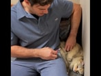 The image shows the kitty getting the vaccine.(Facebook/Dr. Evan Antin) The image shows the kitty getting the vaccine.(Facebook/Dr. Evan Antin)