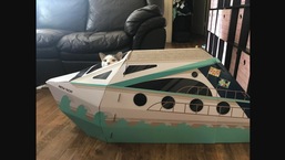 The image shows the cat with his new 'yacht.'
