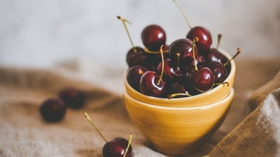 Consume cherries: Preliminary research suggests that cherries might reduce the risk of gout attacks. (Unsplash) Consume cherries: Preliminary research suggests that cherries might reduce the risk of gout attacks. (Unsplash)