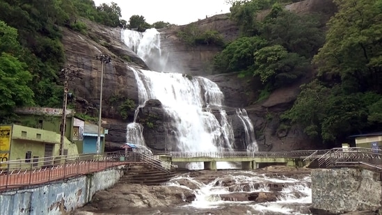 Courtallam waterfall in Tenkasi witnesses heavy footfall after heavy rains enhanced the natural beauty of the tourist spot. (PTI)