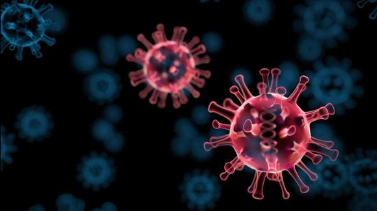 Currently, there is no patient undergoing treatment at any of the government health facilities, while seven patients are being treated at private hospitals of the district. (Getty Images/iStockphoto)