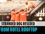 NDRF rescues dog from submerged hotel rooftop in flood-hit Maharashtra