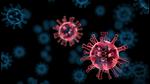 Currently, Mohali has the highest count of active cases, 43, followed by Chandigarh with 36 infected patients while Panchkula is now left with just four cases. (Getty Images/iStockphoto) Currently, Mohali has the highest count of active cases, 43, followed by Chandigarh with 36 infected patients while Panchkula is now left with just four cases. (Getty Images/iStockphoto)