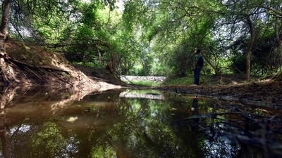 A view of a check dam at Asola Wildlife Sanctuary, in New Delhi. (Sanjeev Verma/HT PHOTO) A view of a check dam at Asola Wildlife Sanctuary, in New Delhi. (Sanjeev Verma/HT PHOTO)