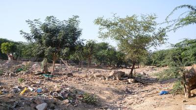 The site chosen for the city forest is a watershed of a disappeared seasonal stream that flowed into the Sahibi river, a tributary of the Yamuna, where widespread mining took place in the 1990s. The area was later encroached upon by locals, with shanties and a marble market dotting the landscape. (Vijay Dhasmana) The site chosen for the city forest is a watershed of a disappeared seasonal stream that flowed into the Sahibi river, a tributary of the Yamuna, where widespread mining took place in the 1990s. The area was later encroached upon by locals, with shanties and a marble market dotting the landscape. (Vijay Dhasmana)